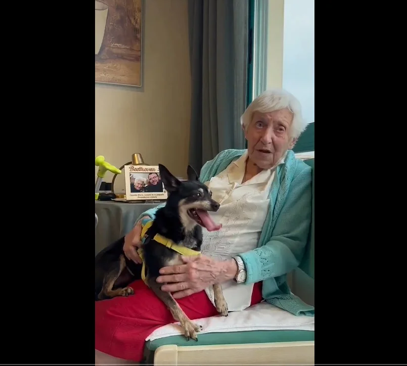 Anciana busca hogar para su perro