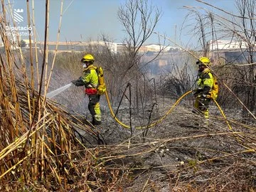 Incendio forestal