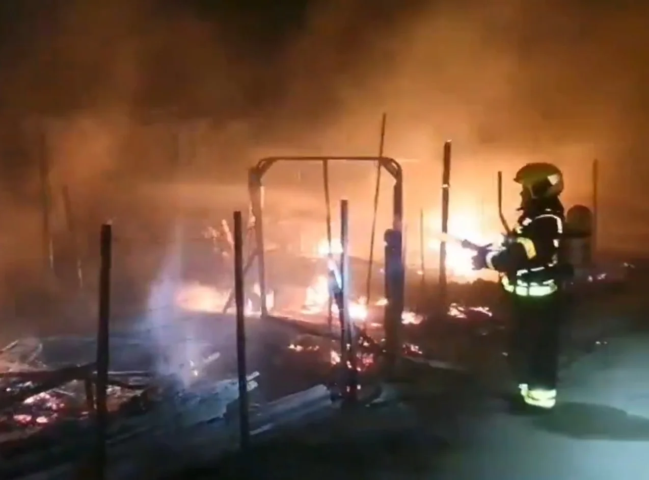 Incendio nocturno en El Palmar: Caravanas en llamas y un perro fallecido