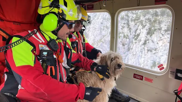 Helicóptero rescata a perra que llevaba dos días atrapada en la montaña