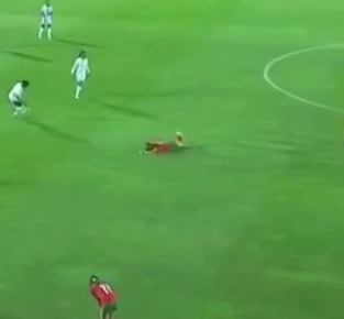 ¡Brutal agresión! Jugadora del Congo deja KO a su rival en un Marruecos-Congo