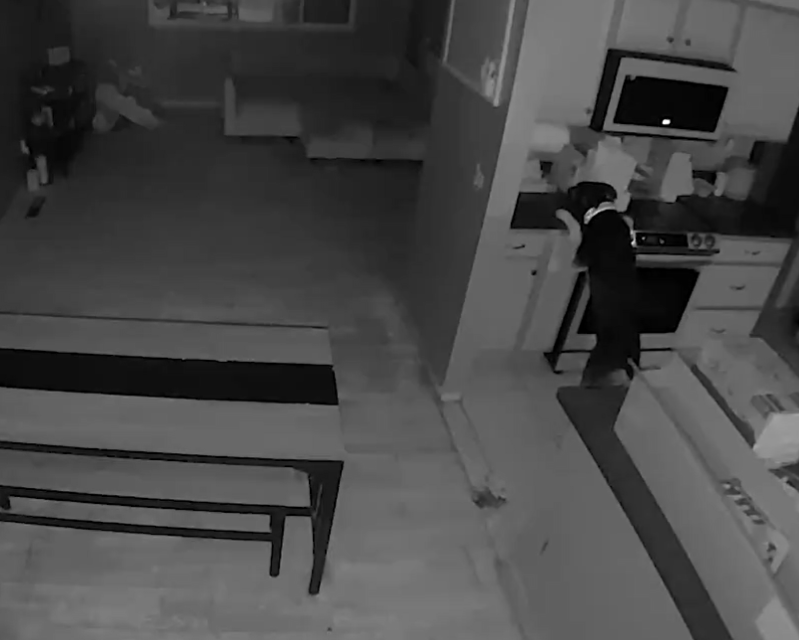 ¡Perro provoca incendio en su casa!