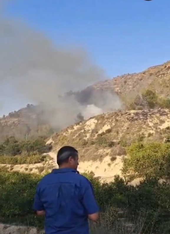 Incendio forestal controlado: 2.500 m² agrícolas afectados